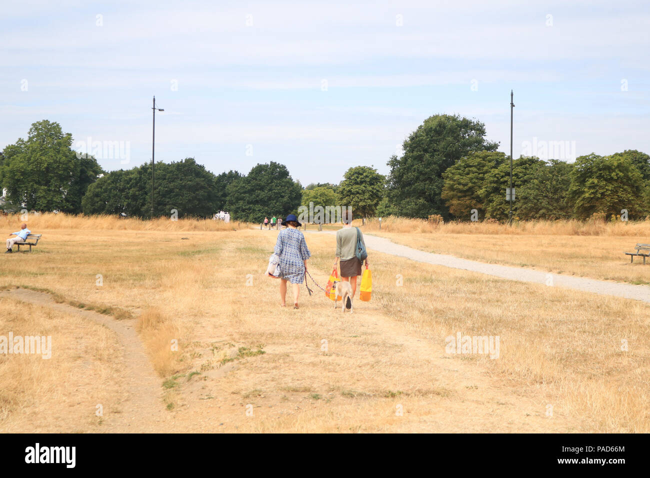 Londra REGNO UNITO. Il 22 luglio 2018 . La gente a piedi sul bruciato erba secca su Wimbledon Common a Londra, causata da un prolungato canicola estiva e il periodo secco in gran parte del sud dell'Inghilterra. Credito: amer ghazzal/Alamy Live News Foto Stock