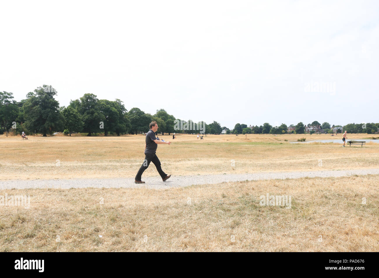 Londra REGNO UNITO. Il 22 luglio 2018 . La gente a piedi sul bruciato erba secca su Wimbledon Common a Londra, causata da un prolungato canicola estiva e il periodo secco in gran parte del sud dell'Inghilterra. Credito: amer ghazzal/Alamy Live News Foto Stock