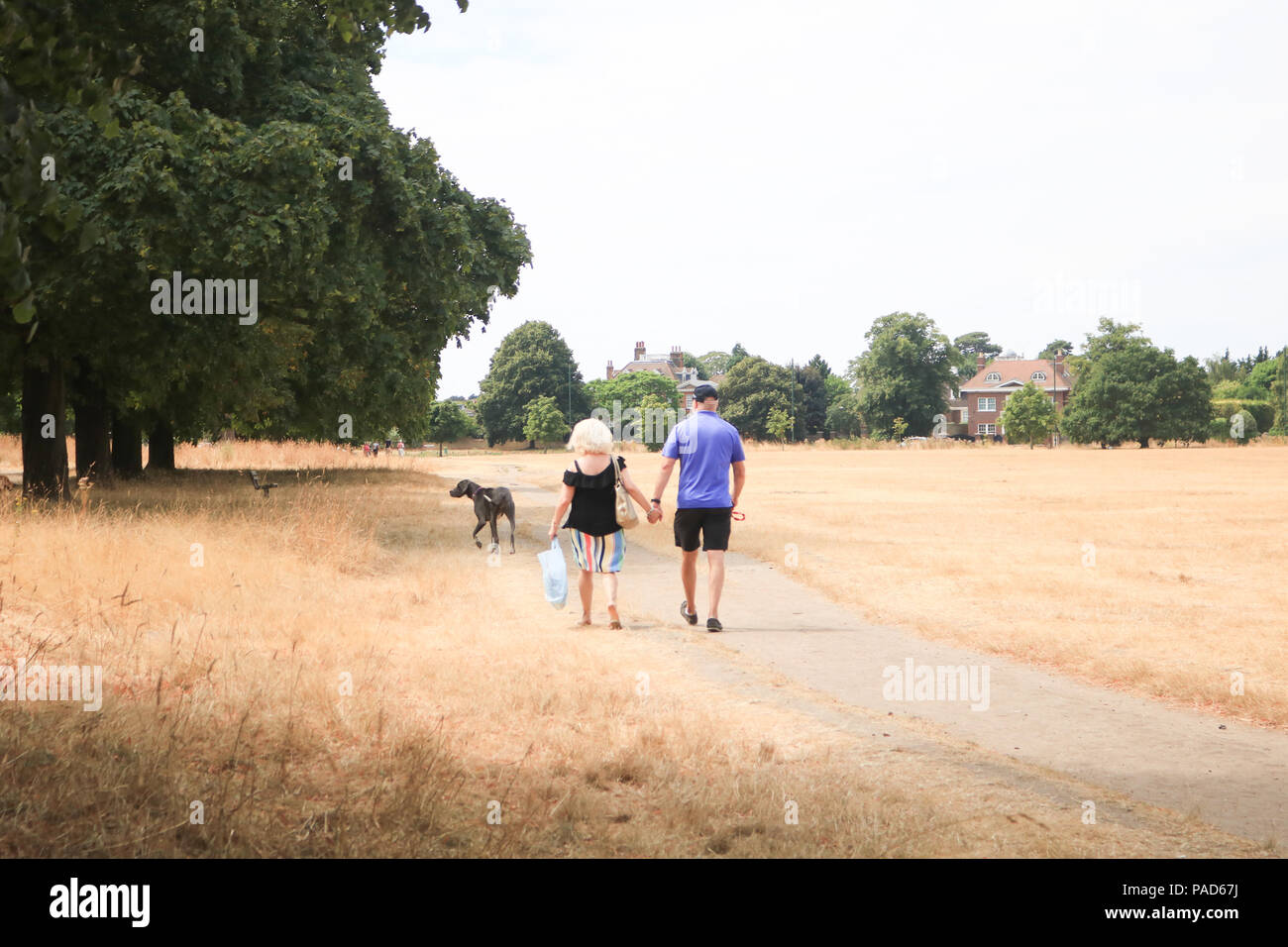 Londra REGNO UNITO. Il 22 luglio 2018 . La gente a piedi sul bruciato erba secca su Wimbledon Common a Londra, causata da un prolungato canicola estiva e il periodo secco in gran parte del sud dell'Inghilterra. Credito: amer ghazzal/Alamy Live News Foto Stock
