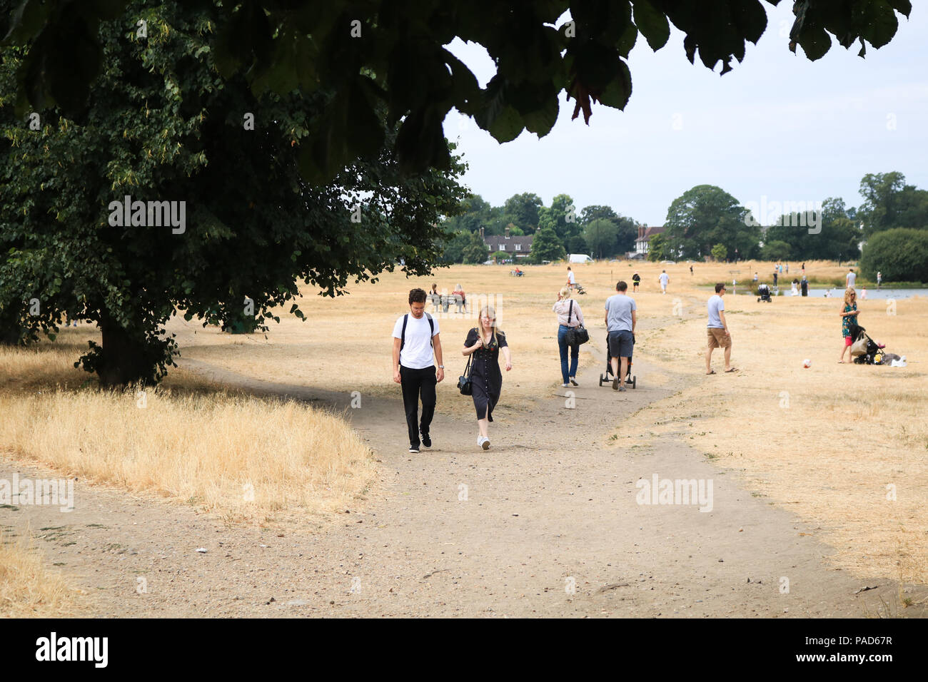Londra REGNO UNITO. Il 22 luglio 2018 . La gente a piedi sul bruciato erba secca su Wimbledon Common a Londra, causata da un prolungato canicola estiva e il periodo secco in gran parte del sud dell'Inghilterra. Credito: amer ghazzal/Alamy Live News Foto Stock