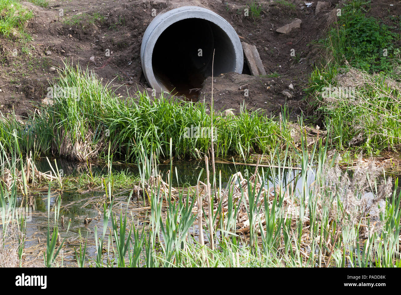 Calcestruzzo canalizzazione fognaria che va ad un piccolo lago di acqua di scarico, primo piano Foto Stock