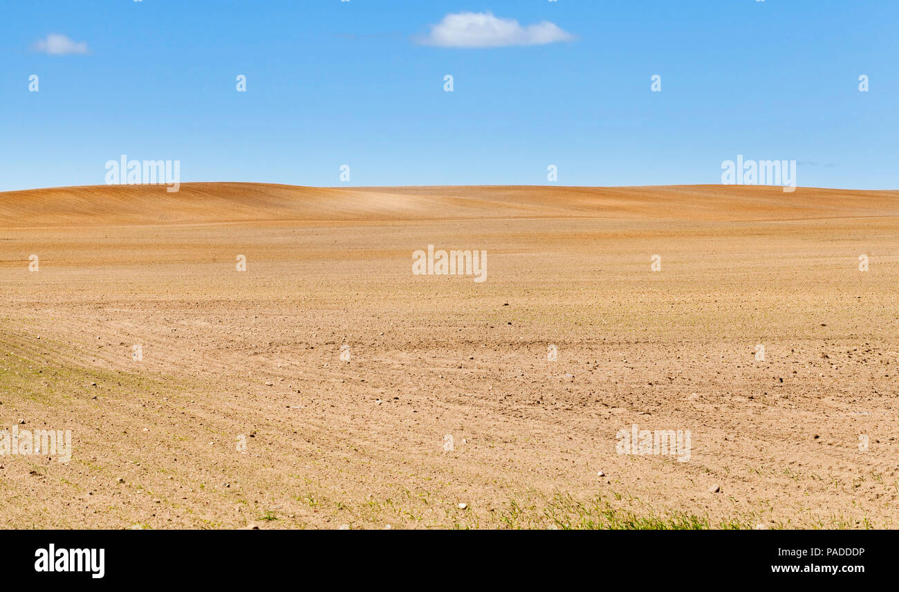 Campo Arato all'orizzonte, una molla del paesaggio in un'area agricola con un cielo blu Foto Stock