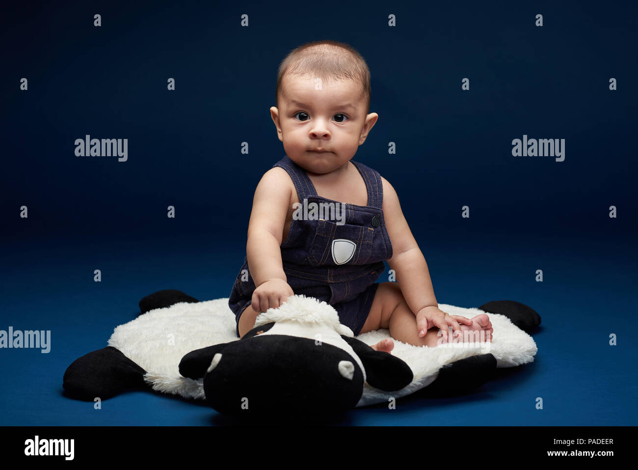 Una seria bimbo seduto su blu di sfondo per studio Foto Stock
