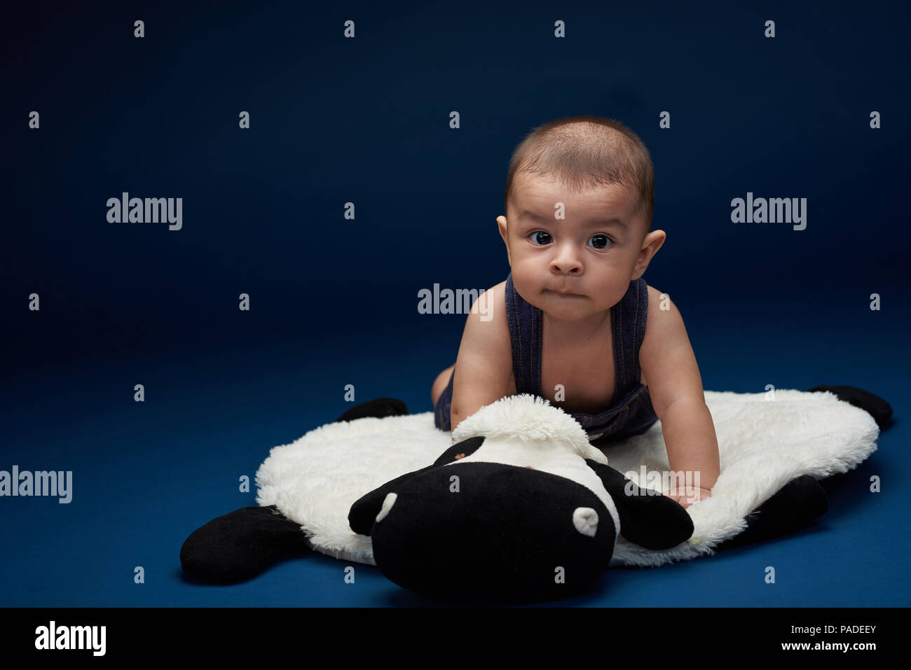 Ispanico baby boy in blu di sfondo per studio con spazio di copia Foto Stock