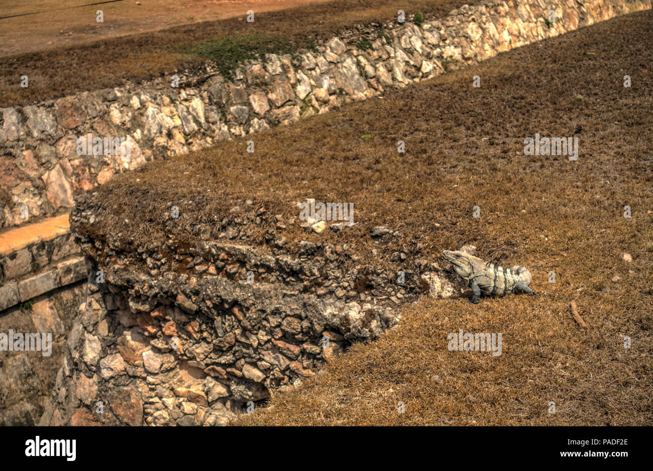 Chichén Itza, Messico Foto Stock