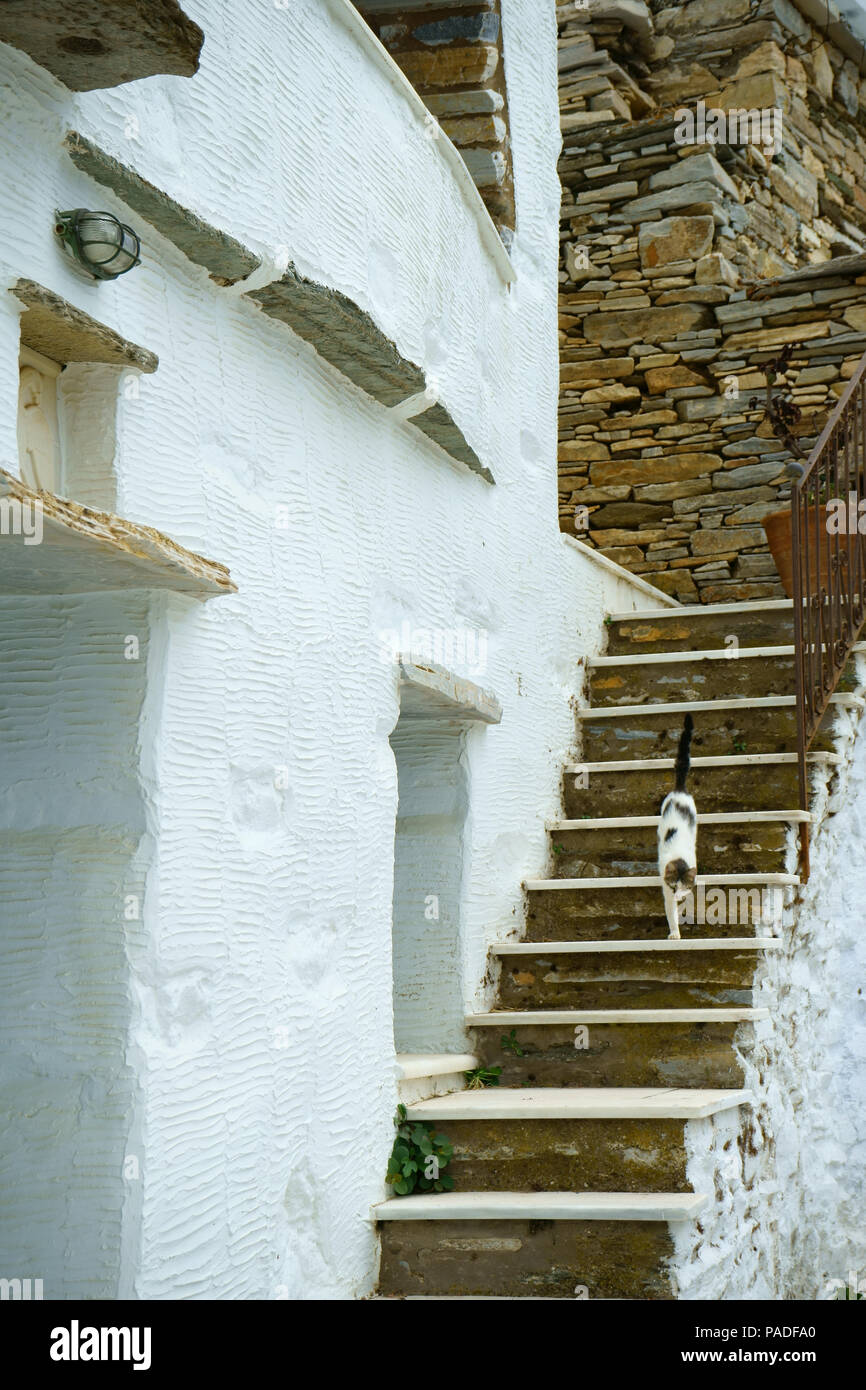 Isola di Tinos, Cicladi Grecia,cat walkingdown scala di marmo nella strada stretta, città Kardiani, Foto Stock