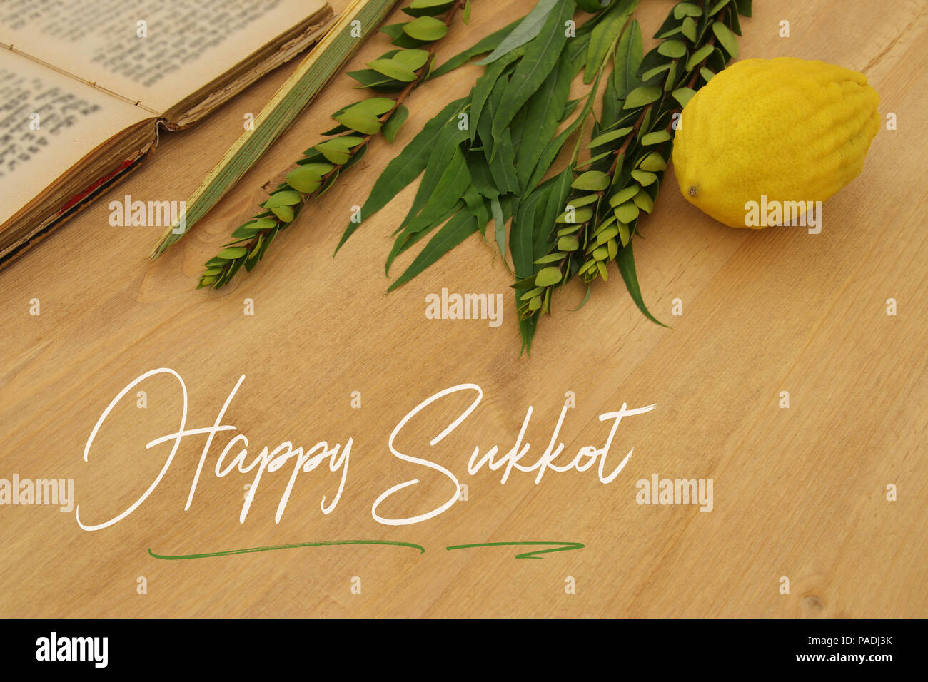Festa ebraica di Sukkot. Simboli tradizionali (le quattro specie): Etrog, lulav, hadas, arava Foto Stock