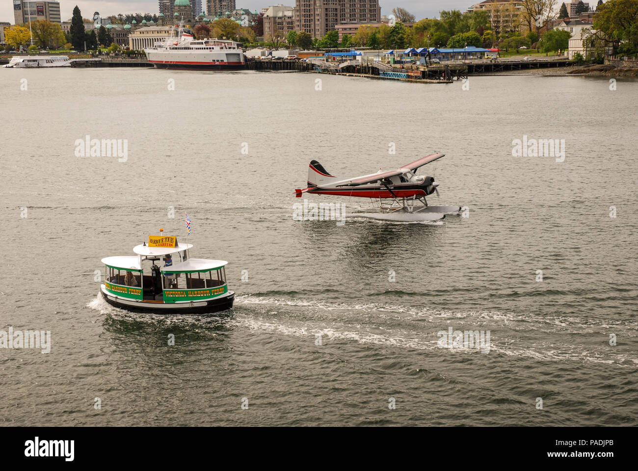 Un piccolo piano di flottazione di rullaggio passato un piccolo water taxi nelle calme acque del porto di Victoria sull isola di Vancouver Foto Stock