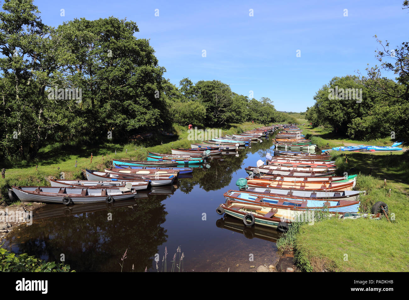 File colorate barche di linea il creek accanto al Castello di Ross in Kilarney National Park, nella contea di Kerry, Irlanda. Foto Stock