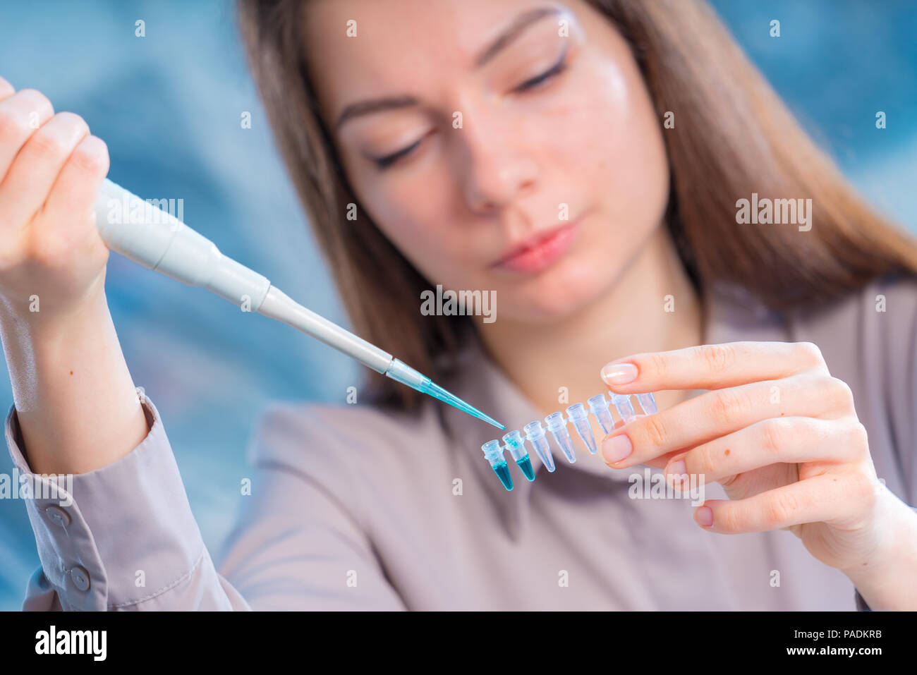 Tecnico di femmina con pipetta in lad per analisi forense del DNA testing Foto Stock