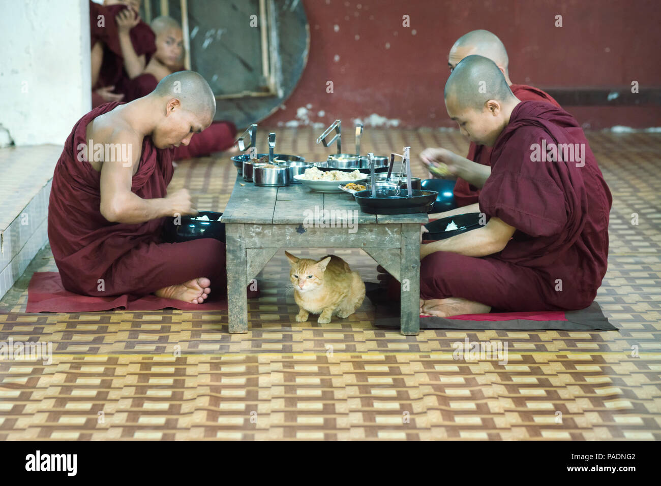 I monaci di pranzare in Kalaywa Tawya Monastero a Yangon. Febbraio 23, 2014 - Yangon, Myanmar Foto Stock