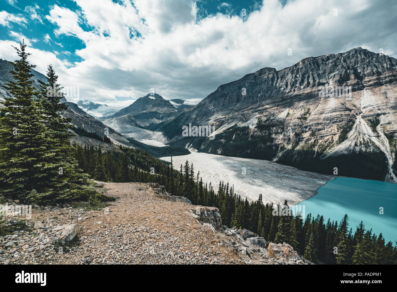 Vista sul Lago Peyto, Il Parco Nazionale di Banff in Canada Foto Stock