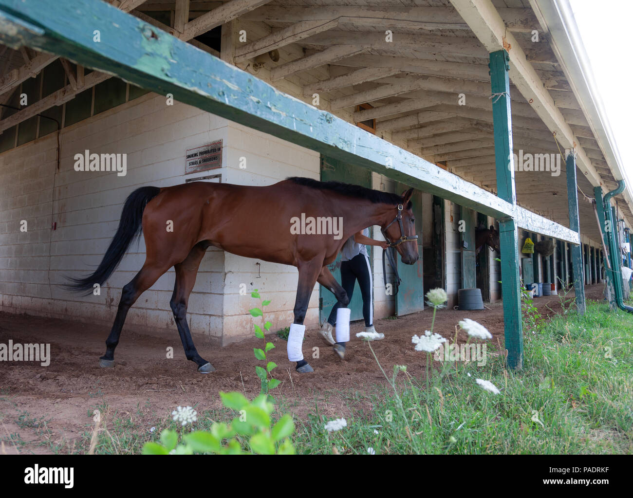 Il stabels a Fort Erie racetrack in Fort Erie, Ontario, Canada. Foto Stock