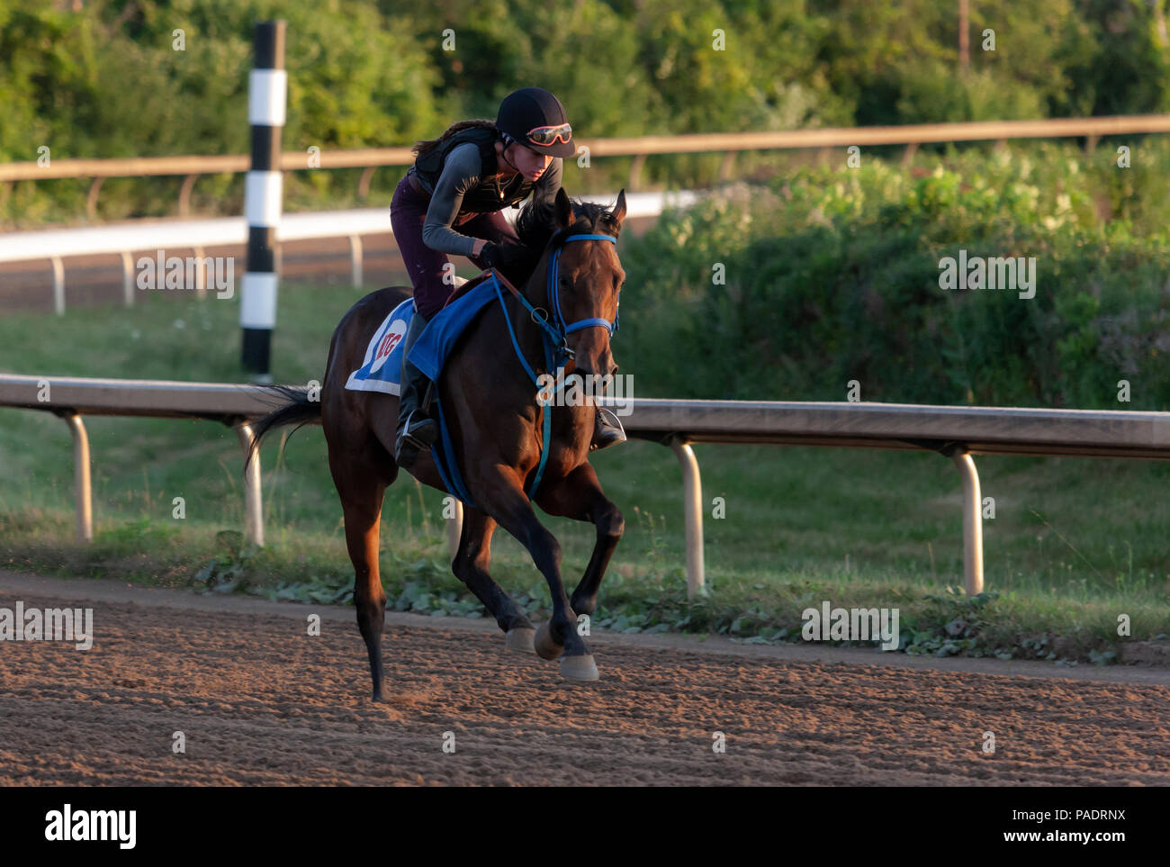 Fort Erie Race Track mattina presto Foto Stock