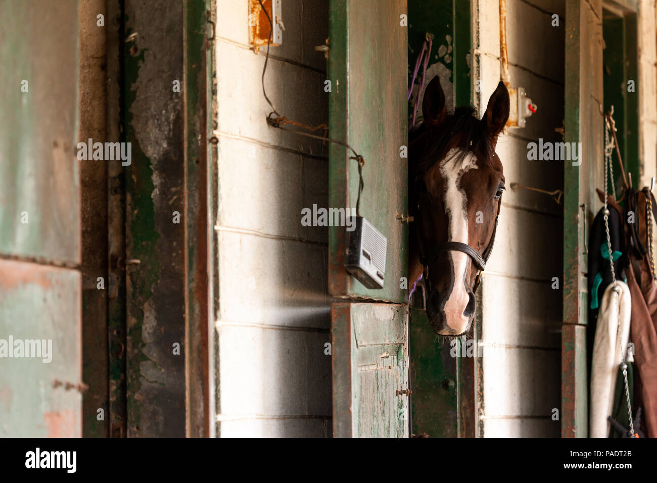 Il stabels a Fort Erie racetrack in Fort Erie, Ontario, Canada. Foto Stock