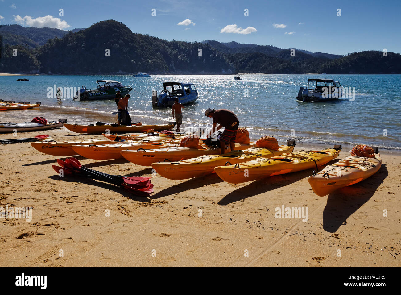 Kayak da mare sulla spiaggia di Baia di ancoraggio, il Parco Nazionale Abel Tasman, Nuova Zelanda Foto Stock