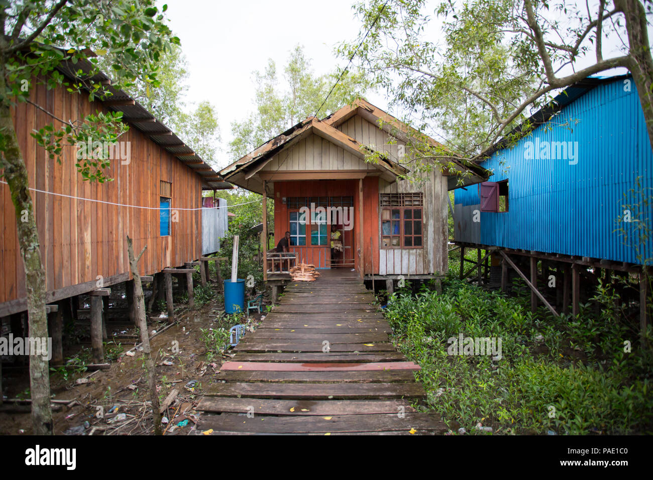 Casa sulla piattaforma di legno, Asmat Regione, Papua Occidentale Foto Stock