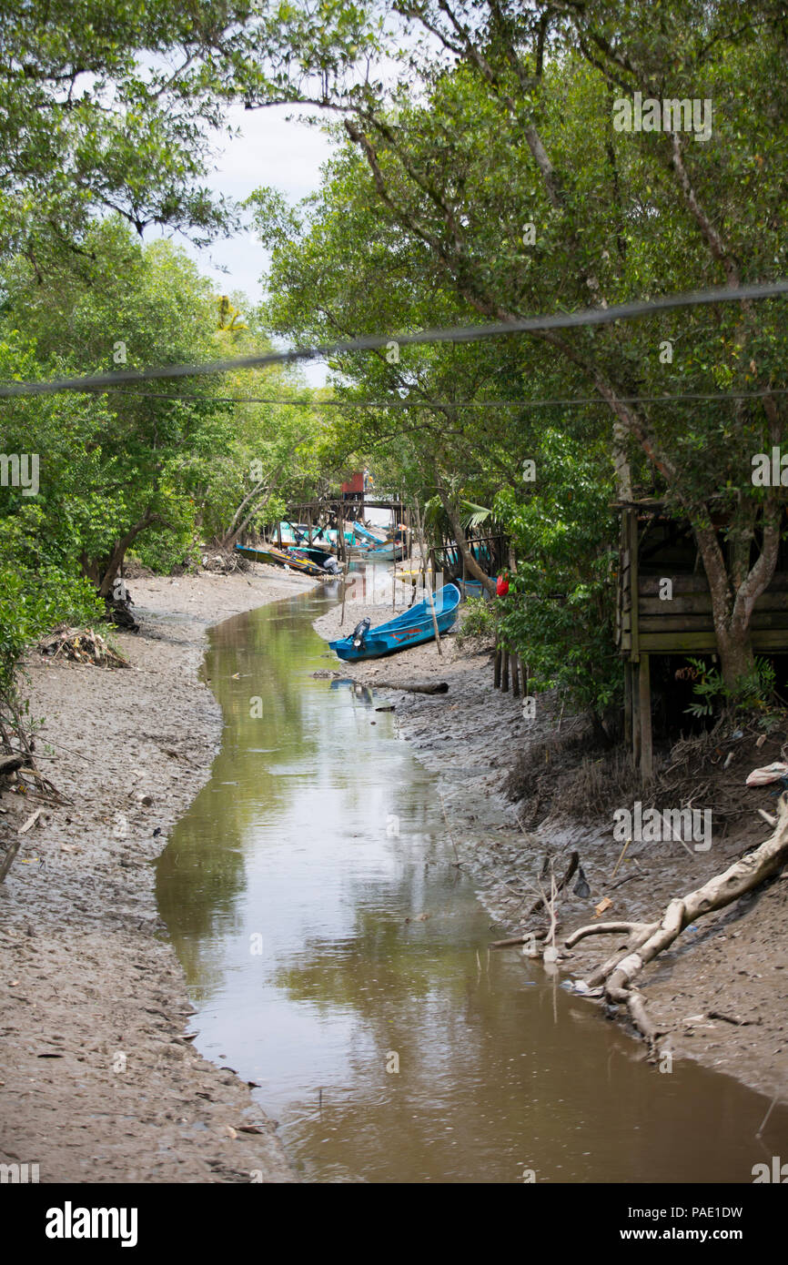 Stream, Asmat Regione, Papua Occidentale Foto Stock