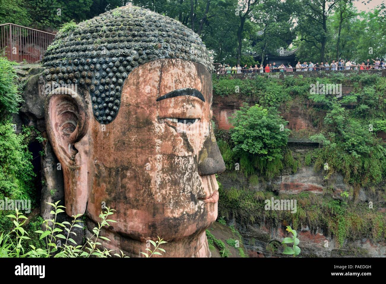 Leshan Buddha gigante 71 metri di altezza statua di pietra scavata nella roccia, volti alla confluenza del fiume Min e fiume Dadu. Foto Stock