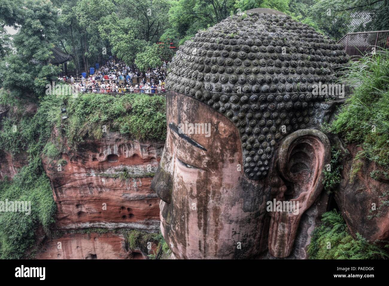 Leshan Buddha gigante 71 metri di altezza statua di pietra scavata nella roccia, volti alla confluenza del fiume Min e fiume Dadu. Foto Stock