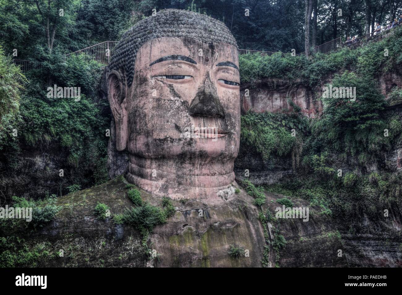 Leshan Buddha gigante 71 metri di altezza statua di pietra scavata nella roccia, volti alla confluenza del fiume Min e fiume Dadu. Foto Stock