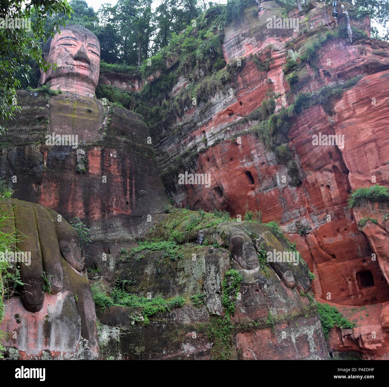 Leshan Buddha gigante 71 metri di altezza statua di pietra scavata nella roccia, volti alla confluenza del fiume Min e fiume Dadu. Foto Stock