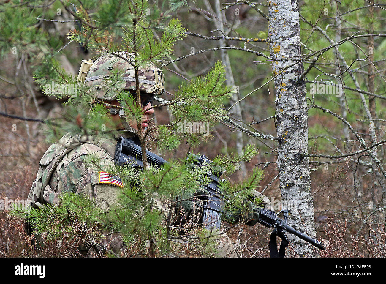Spc. Augustin Estrella, un fante assegnato alla sede centrale e sede di truppe, 3° Stormo, 2° reggimento di cavalleria, si nasconde dietro la vegetazione prima di continuare un movimento con la sua squadra durante scout plotone di certificazioni di livello, 30 Marzo a Adazi Base Militare, Lettonia. Estrella e il suo plotone condotta culminante evento di formazione in aggiunta a vari corsi di formazione multinazionale durante una rotazione in Lettonia a sostegno del funzionamento Atlantic risolvere, una multinazionale di dimostrazione di continuato impegno degli Stati Uniti per la sicurezza collettiva di Organizzazione del Trattato del Nord Atlantico alleati Foto Stock