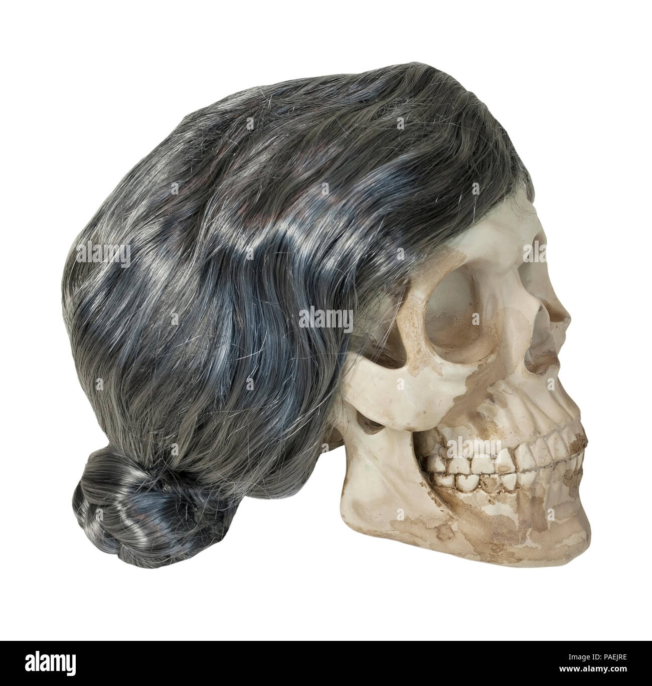 Cranio con prese degli occhi e denti Foto Stock