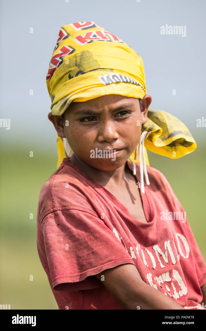 Il cavallo e il suo ragazzo immagini e fotografie stock ad alta