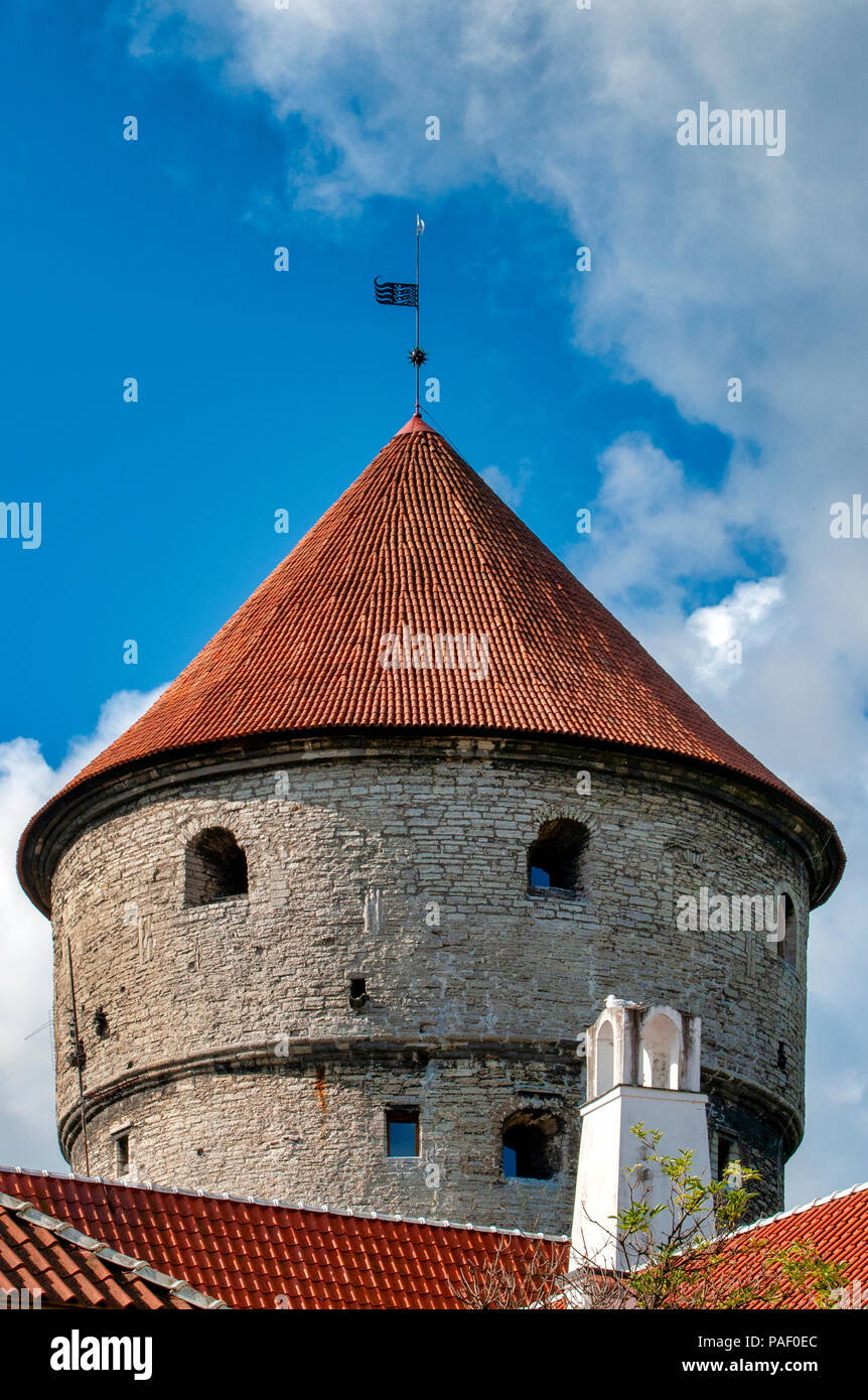 Kiek in de Kok (Peep in cucina) torre di artiglieria, Tallinn, Estonia Foto Stock