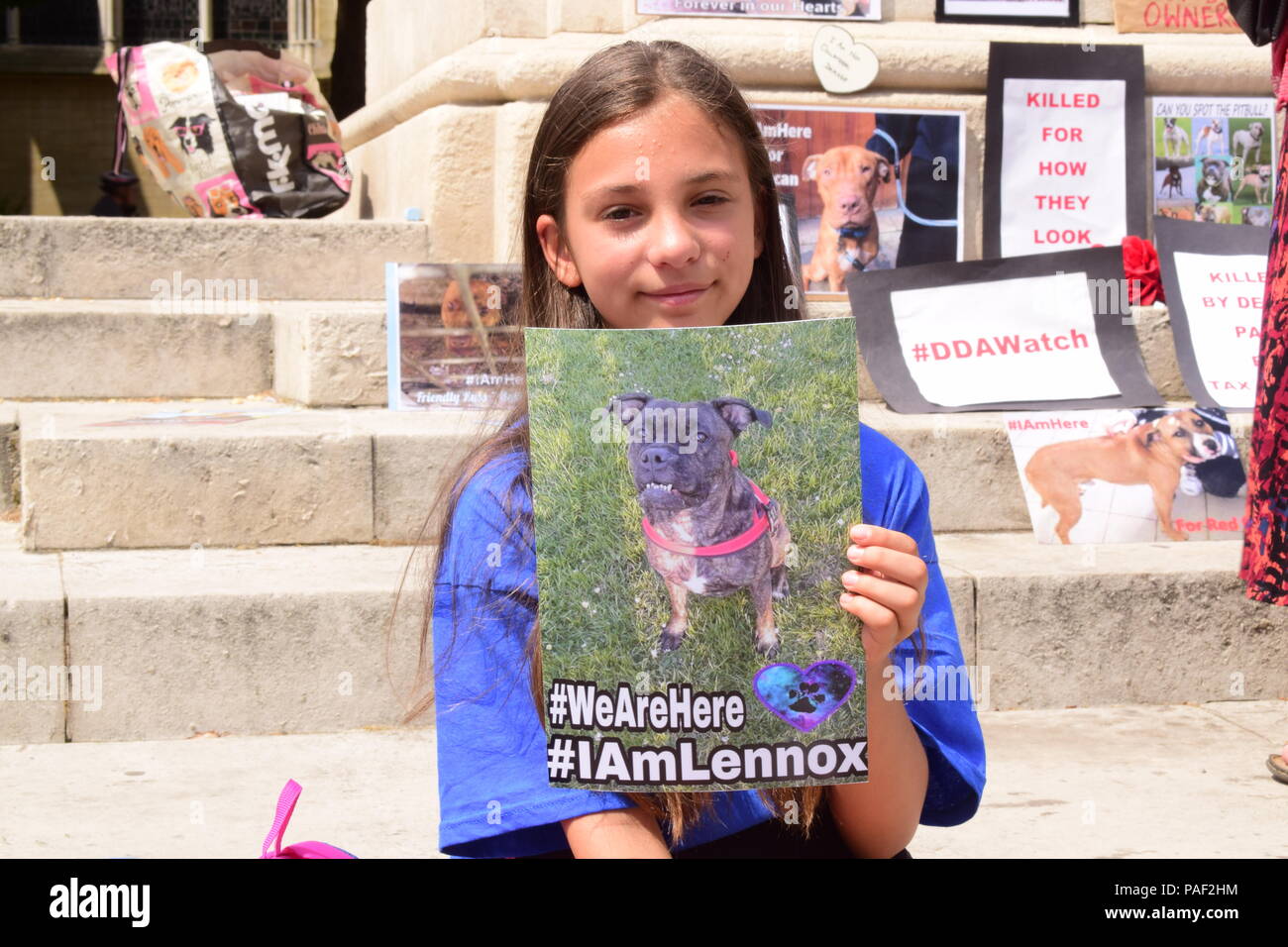 Anti BSL protesta in Westminster, Londra Foto Stock