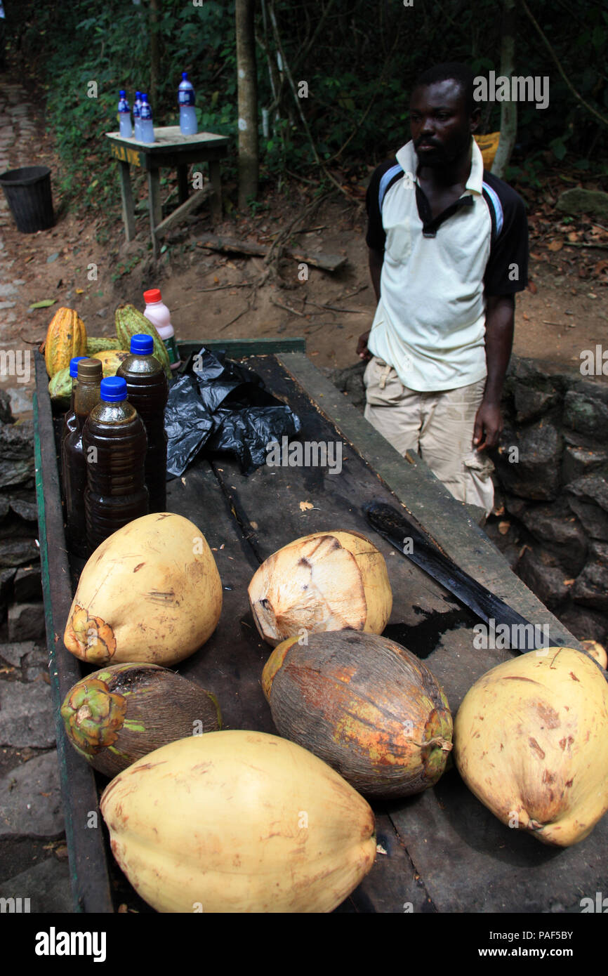 L'uomo africano dietro il suo stallo del mercato accanto alla strada in bottiglia la vendita di olio di palma, il cacao in grani e noci di cocco, Kakum National Park, vicino a Cape Coast, in Ghana Foto Stock