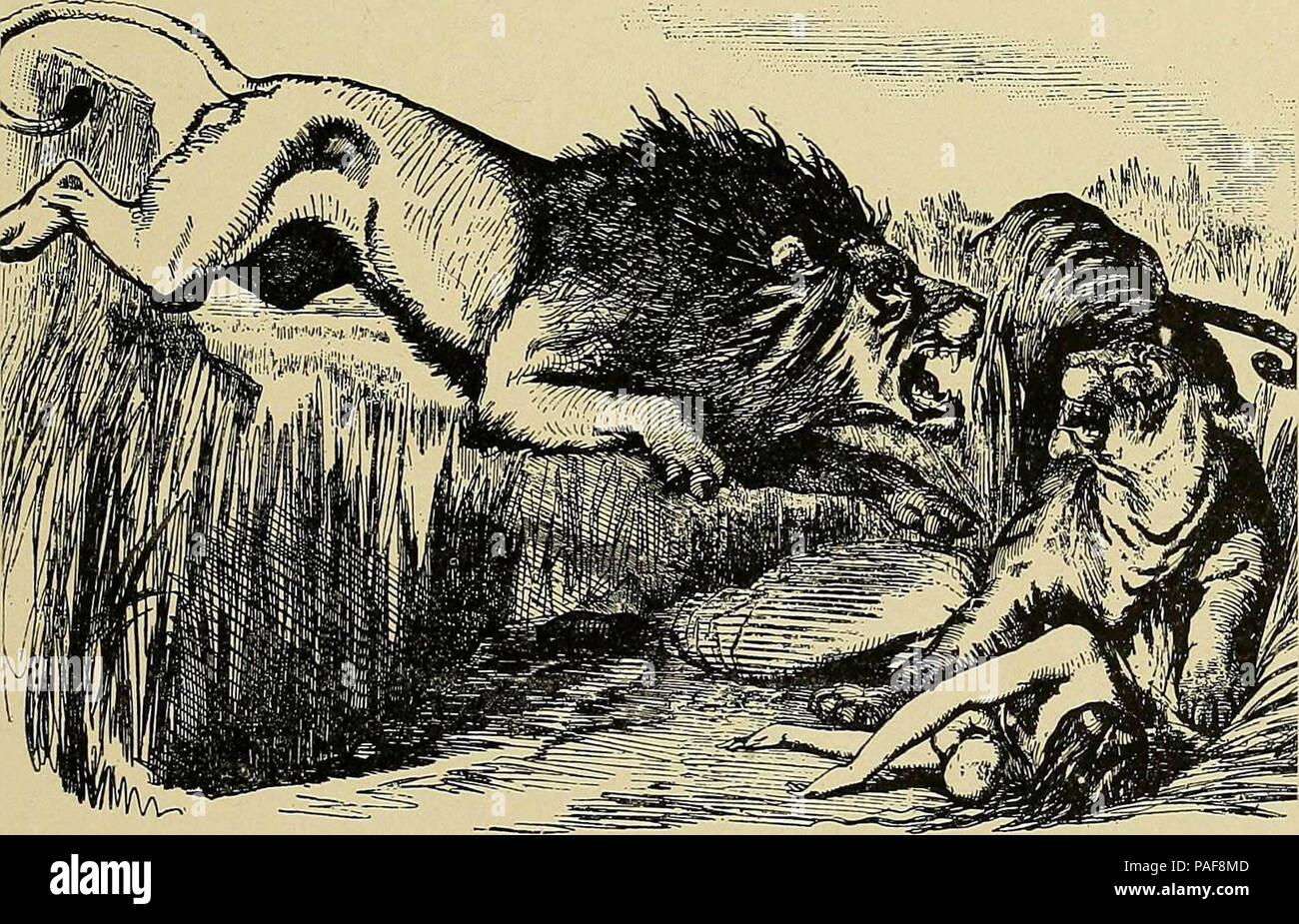 " La storia del diciannovesimo secolo in caricatura" (1904) Foto Stock