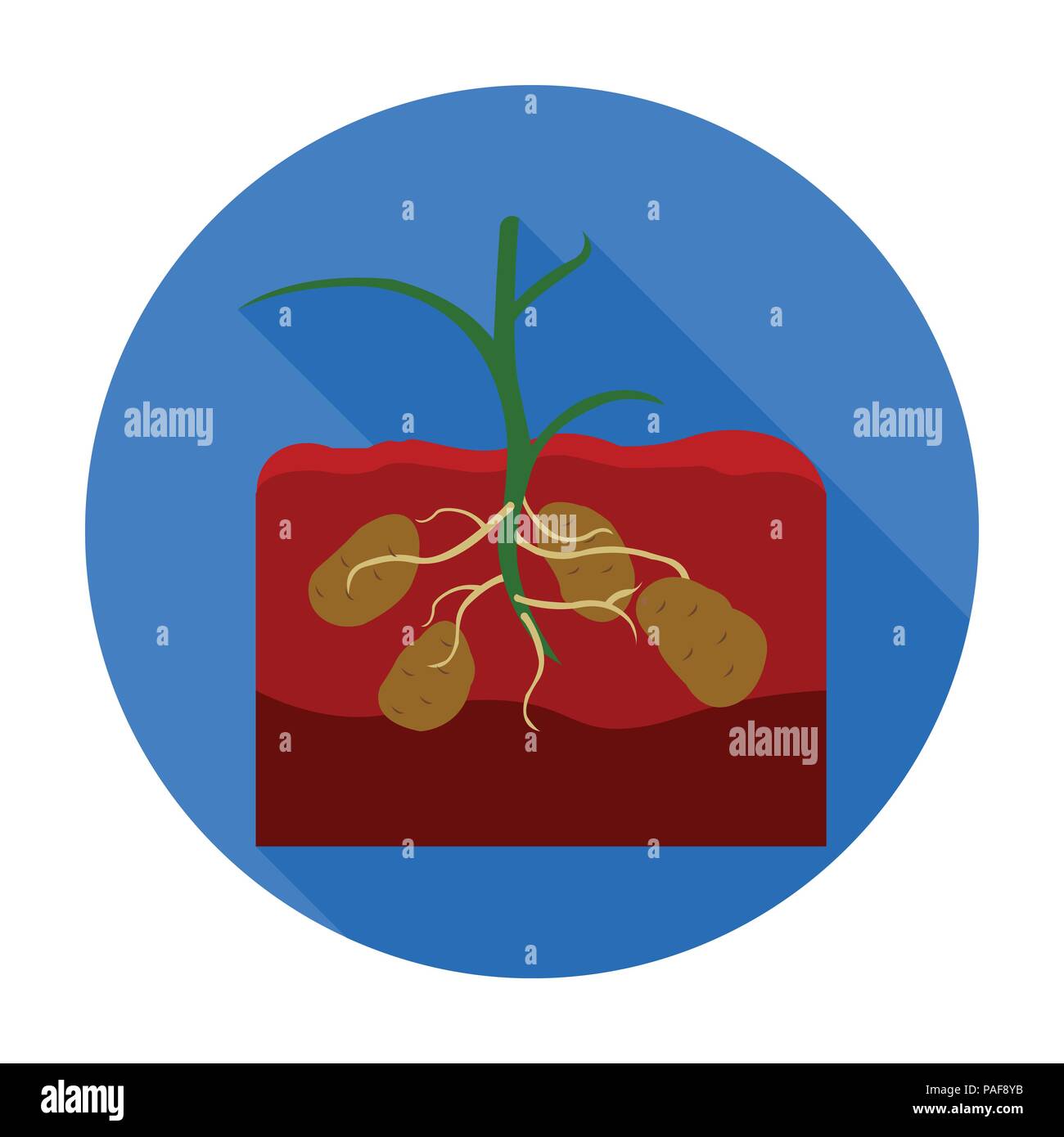 Icona di patate in uno stile piatto isolato su sfondo bianco. Pianta simbolo illustrazione vettoriale. Illustrazione Vettoriale