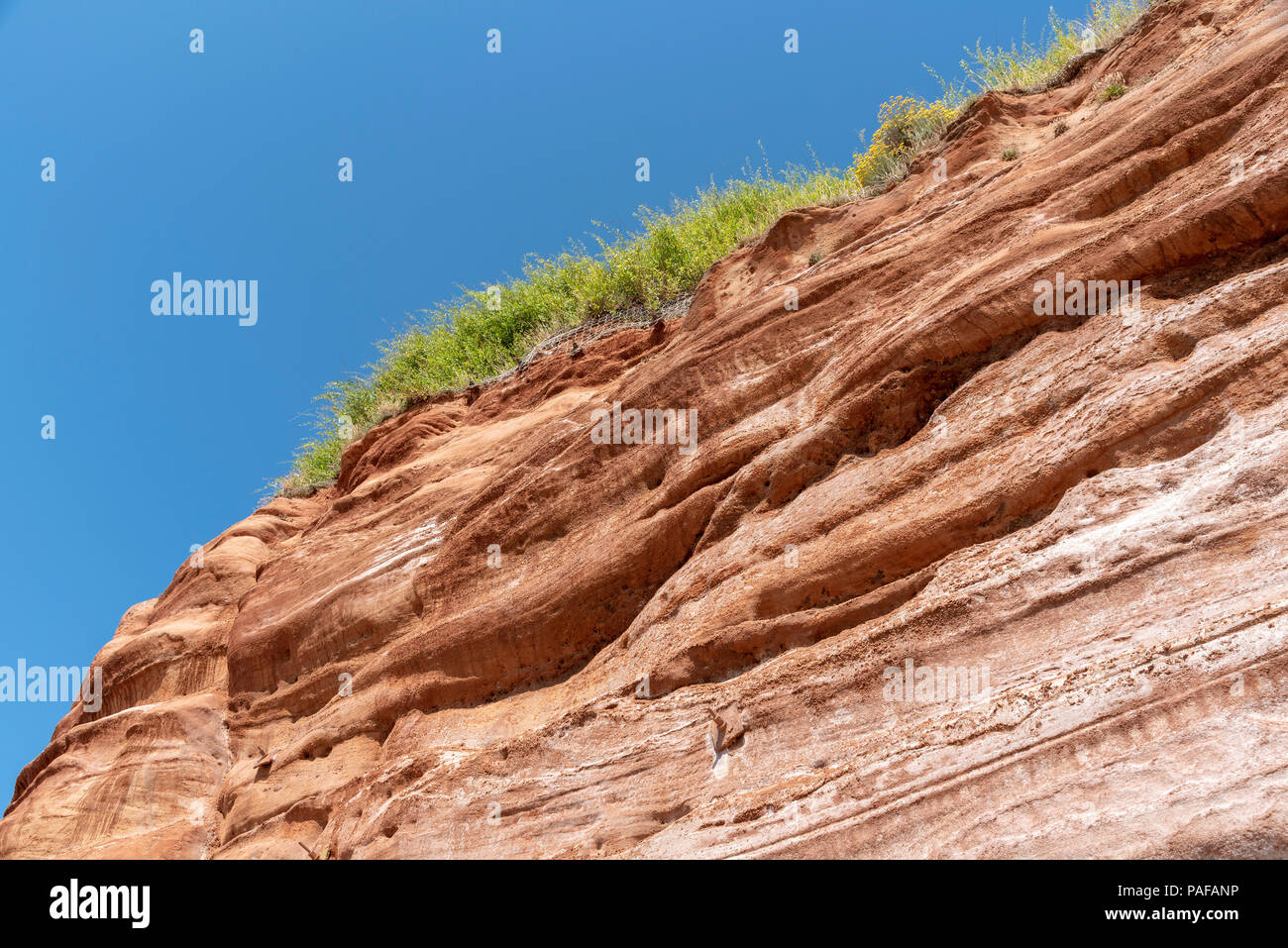 Sidmouth, Devon, Inghilterra, Regno Unito. Il Triassico scogliere rosse sul Wessex Coast Foto Stock