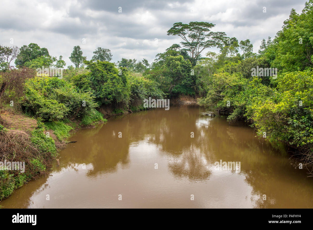 Ricoperta di vegetazione o linee di lato di riverbank con oscuro ancora acqua, Repubblica di Guinea Foto Stock