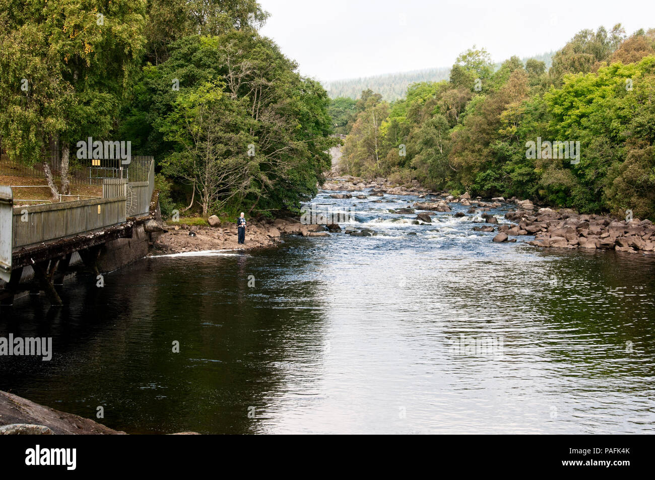 Il fiume Tummel fluisce una curva lontano dalla nebbia avvolta da alberi di pino sulle rocce per formare vortici di schiumatura prima di raggiungere un pescatore solitario Foto Stock