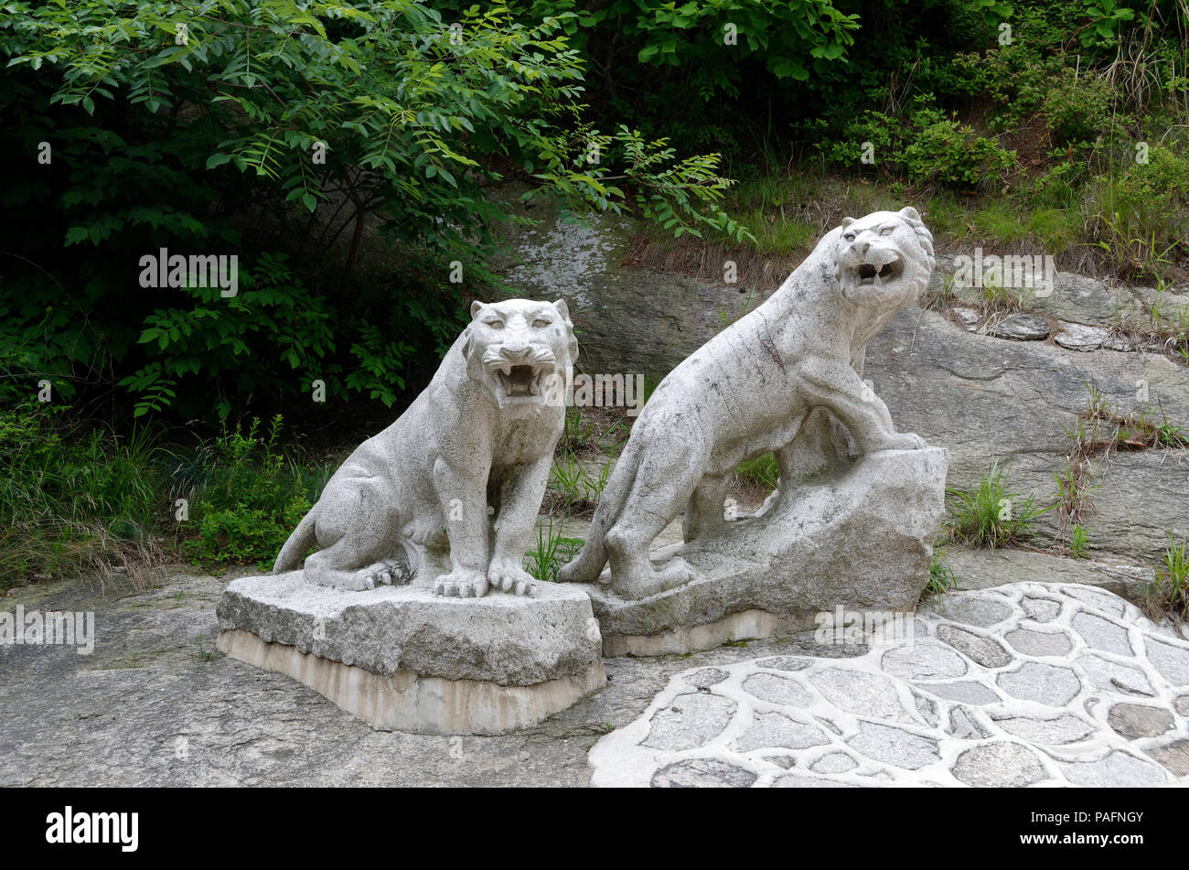 Big cat, probabilmente le tigri, statue in ingresso della Sungkyunkwan University Kaesong, Corea del Nord Foto Stock