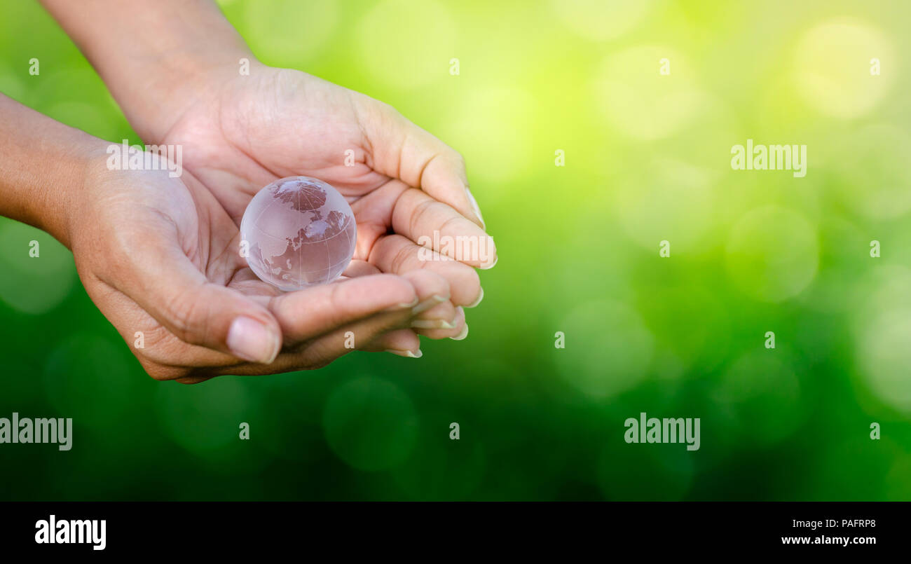 Concetto di salvare il mondo salvare Ambiente Il mondo è nelle mani del verde sfondo bokeh di fondo Foto Stock