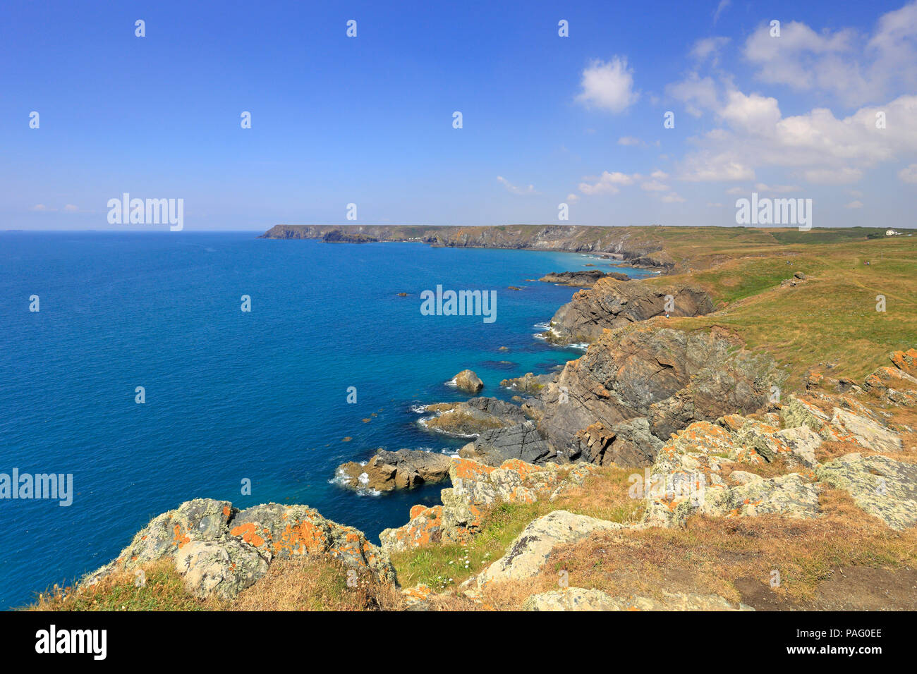 Il lato orientale della penisola di Lizard dirigendosi verso Kynance Cove sulla costa sud ovest percorso, Cornwall, Inghilterra, Regno Unito. Foto Stock