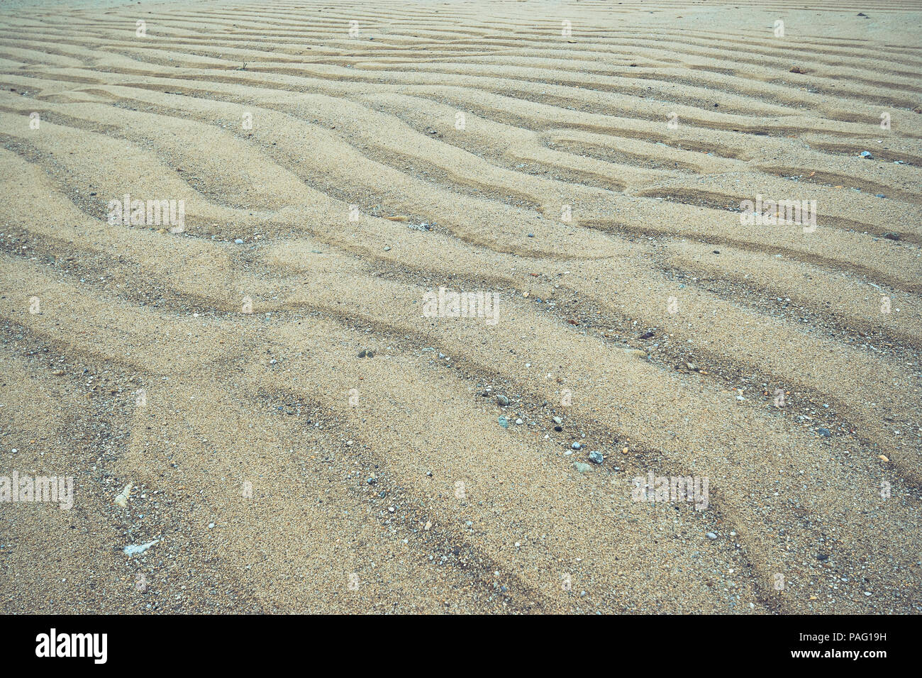 Sabbia ondulata pattern a bassa marea in Benodet, Francia Foto Stock