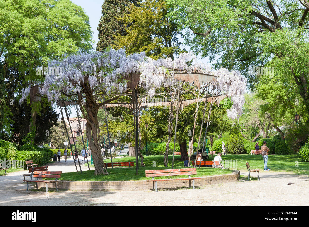 La storica bandstand nei Giardini Pubblici o giardini pubblici coperto di fiori di glicine in primavera, Castello, Venezia, Veneto, Italia. Persone rilassante Foto Stock