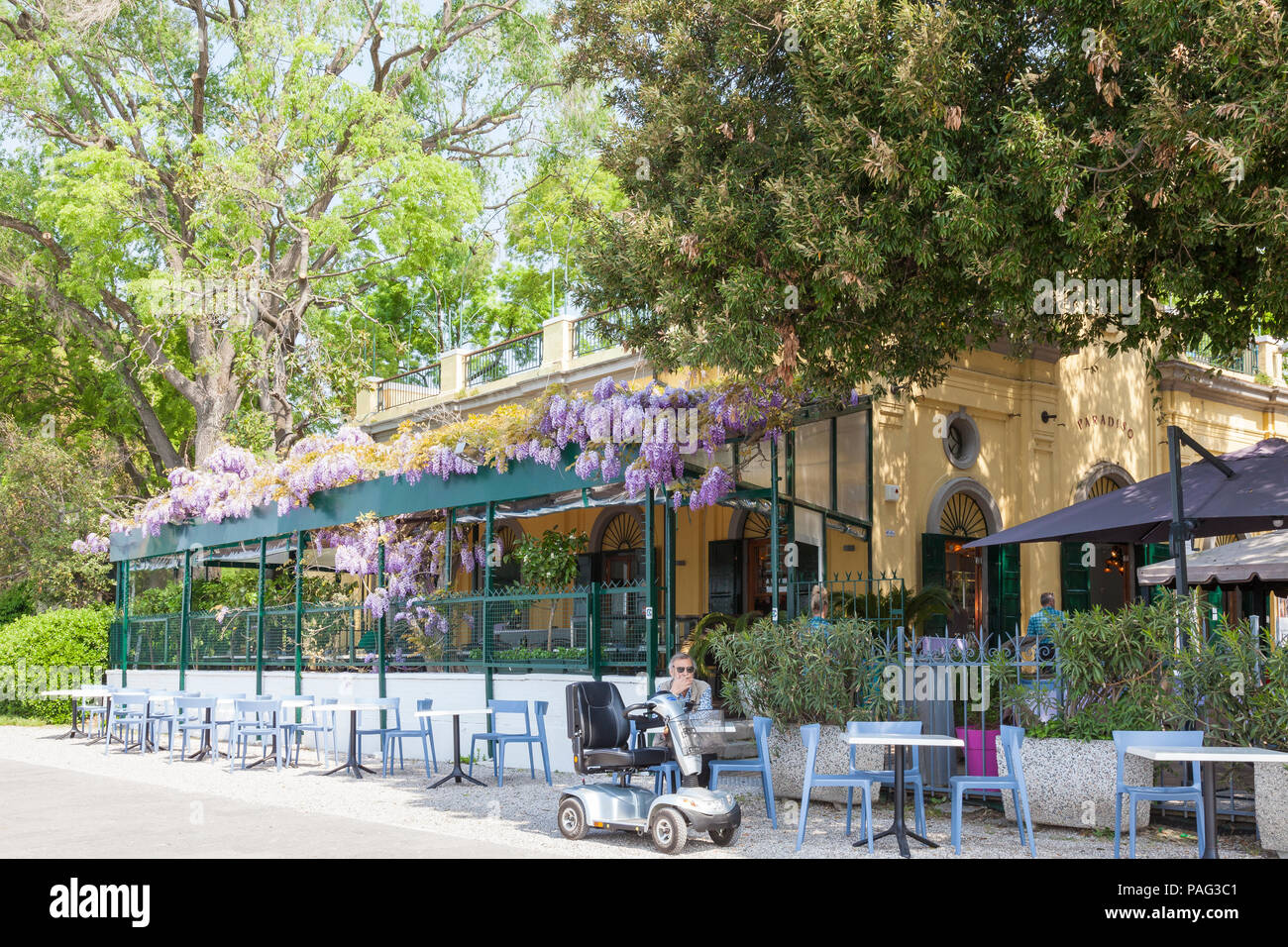 Paradiso Ristorante, Giardini Pubblici, o giardini pubblici, Castello, Venezia, Italia in primavera coperti in fioritura viola glicine. l uomo con la mobilità s Foto Stock