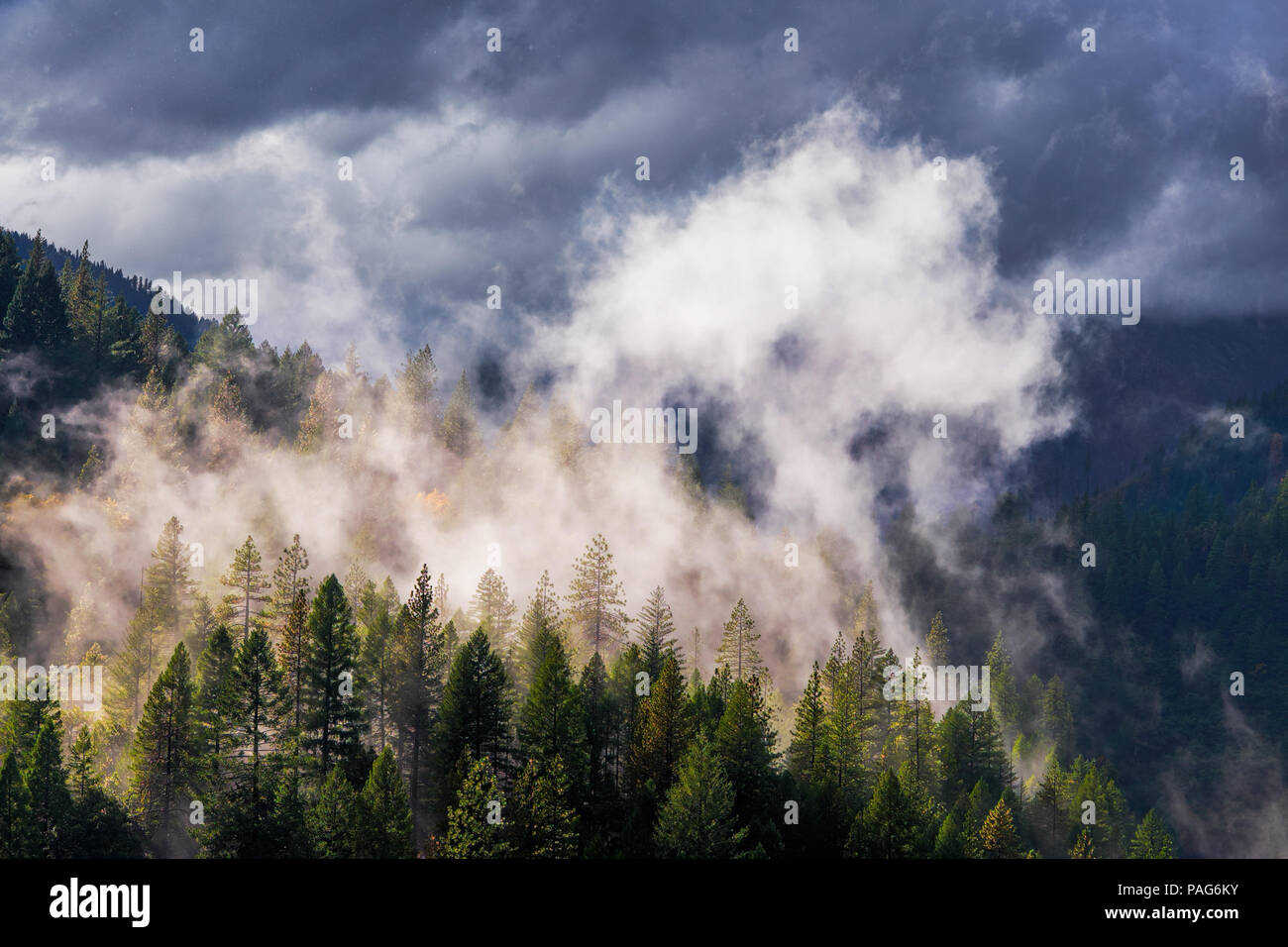 La luce solare che colpisce la nebbia come una tempesta passa sopra la piuma River Canyon nella California del Nord. Foto Stock