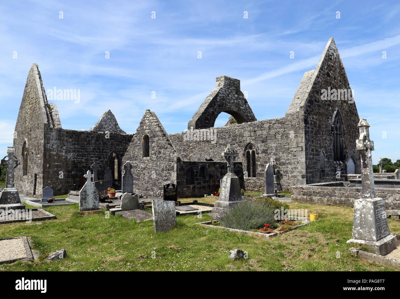 Killmacduagh monastero è una rovina il settimo secolo abbazia vicino alla città di Gort nella Contea di Galway, Irlanda. Fu il luogo di nascita della diocesi di Kilmacdu Foto Stock
