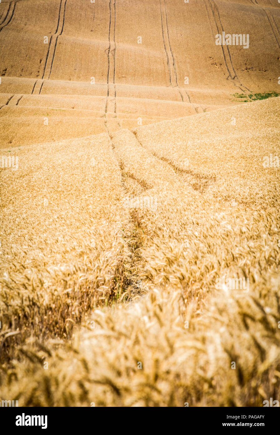 Moravian Toscana paesaggio, Moravia del sud, Repubblica Ceca Foto Stock
