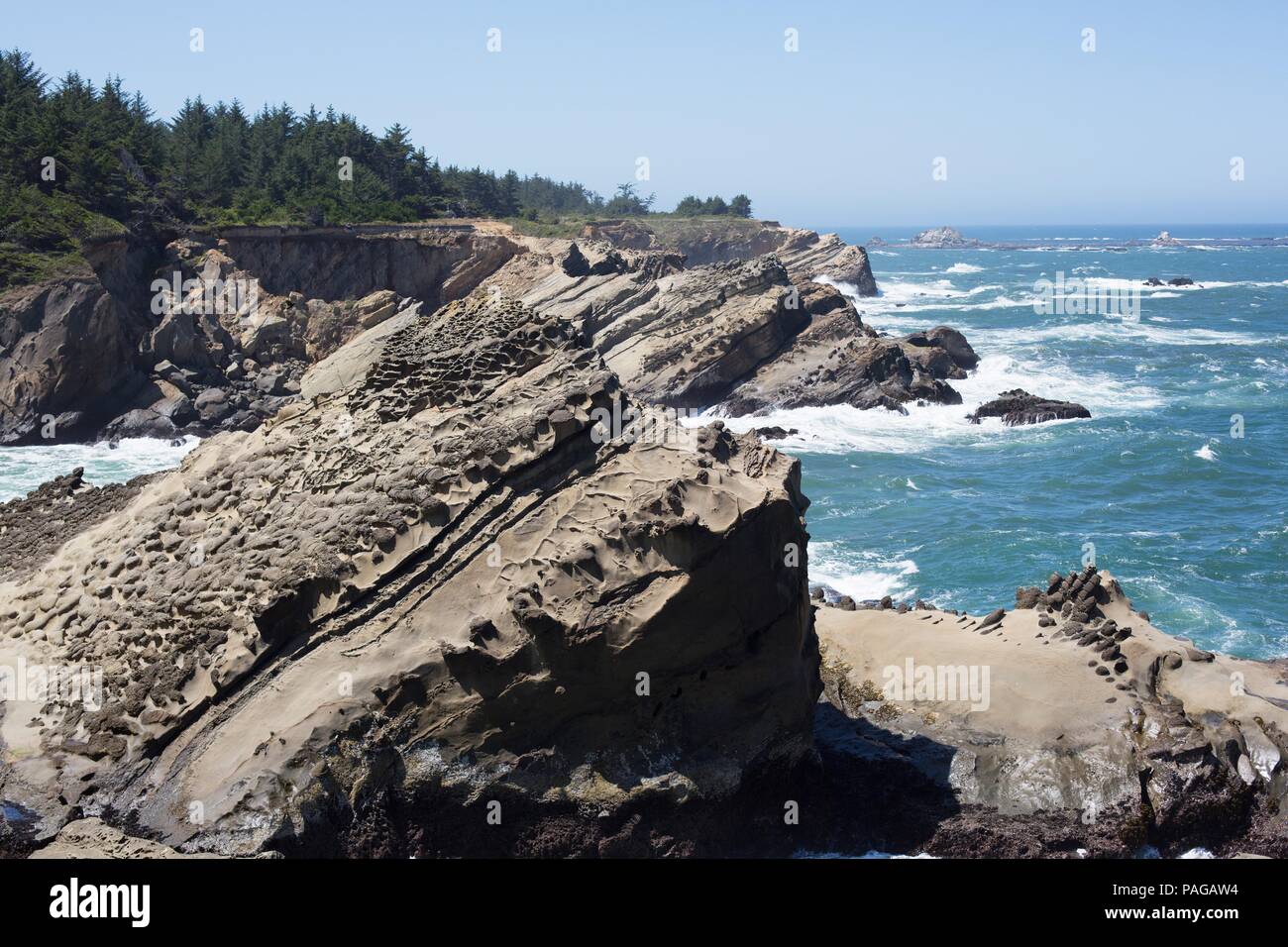 Tafoni formata tra le rocce della costa a Riva acri del parco statale vicino a Coos Bay, Oregon, Stati Uniti d'America. Foto Stock