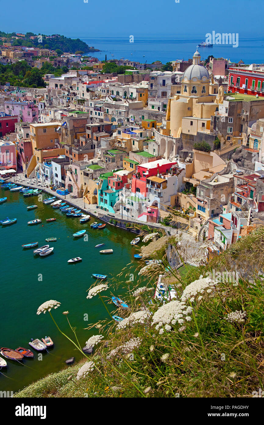 Il villaggio di pescatori di Procida con il porto di pescatori di Marina di Corricella e la Chiesa della Madonna delle Grazie, Procida Golfo di Napoli, Italia Foto Stock