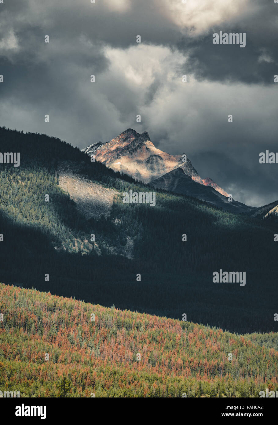 Il Columbia Icefield lungo Icefields Parkway, Alberta Canada Foto Stock