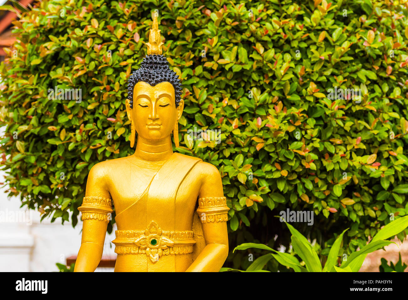 Vista della statua dorata di Buddha in Louangphabang, Laos. Close-up Foto Stock